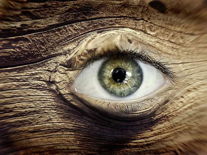 Knothole structure nose organ whiskers texture pxhere Mata profil kayu lengkap